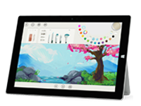 镜湖Surface 无法开启、Windows 无法启动或电池无法充电