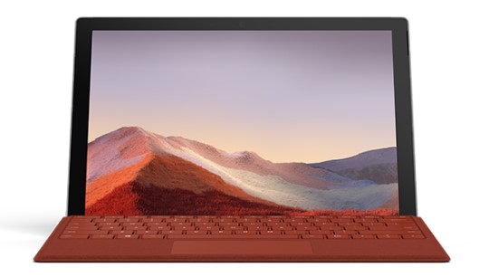 镜湖清洁和维护 Surface